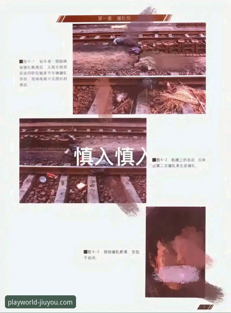 九游官方网站 帕尼切利重伤事件的技术性剖析与平台信息获取详解